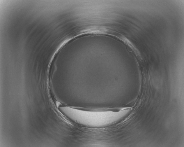 X0000058141240200510072023