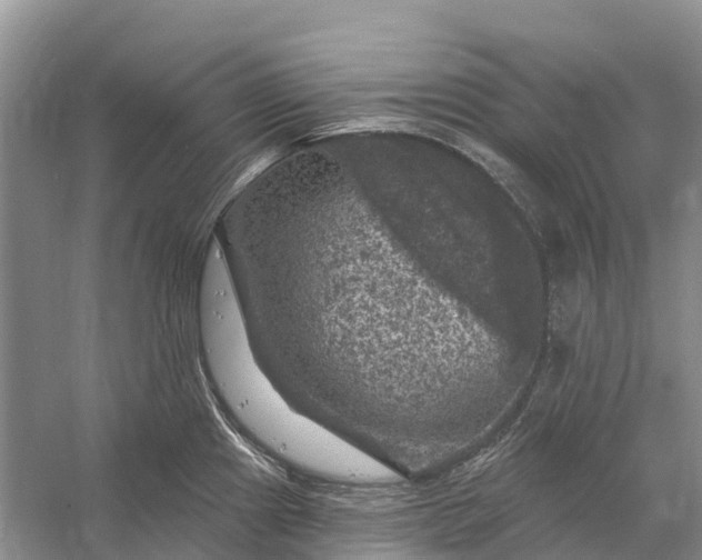 X0000058141241200510072023