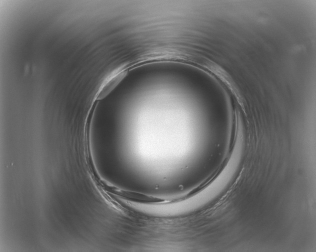 X0000058141242200510072023