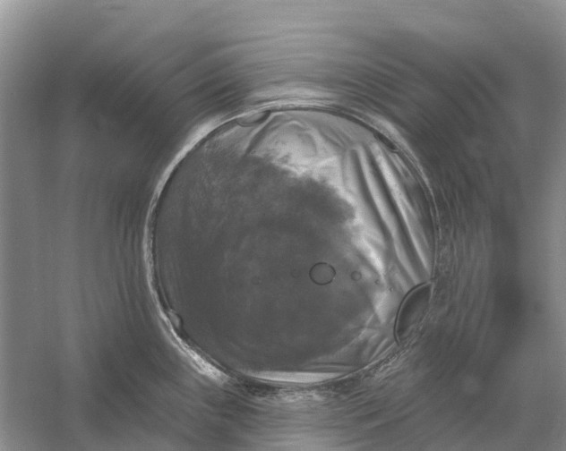 X0000058141243200510072023