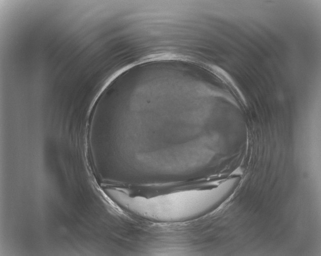 X0000058141244200510072023