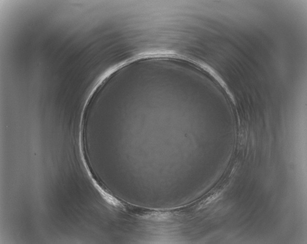 X0000058141245200510072023