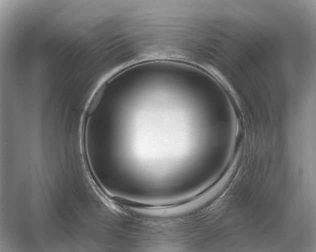 X0000058141246200510072023