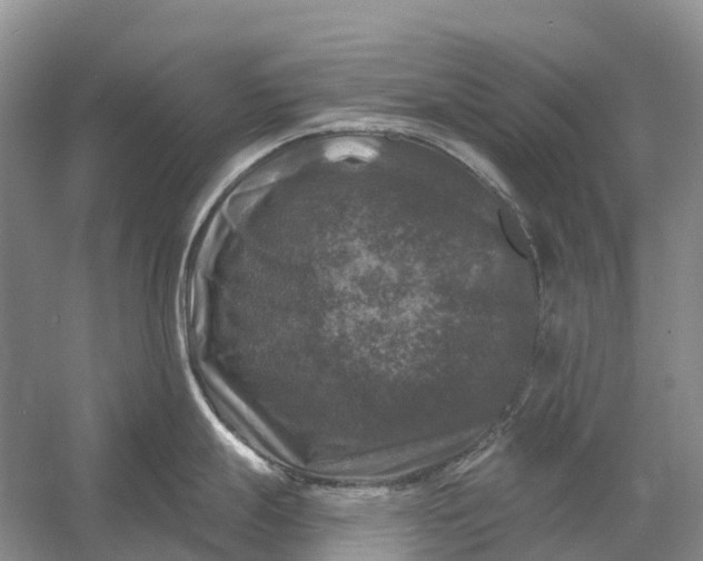 X0000058141247200510072023