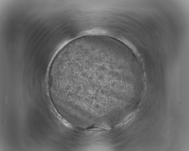 X0000058141248200510072023