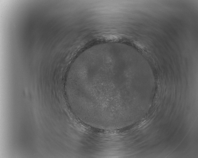 X0000058141249200510072022