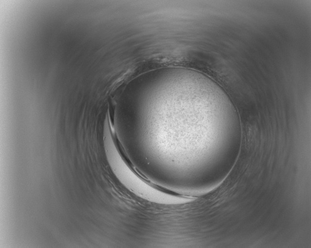 X0000058141250200510072022