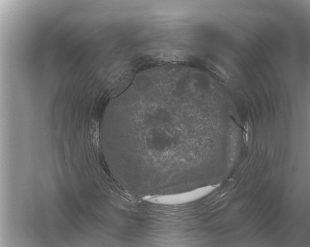 X0000058141251200510072022