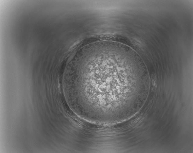 X0000058141252200510072022