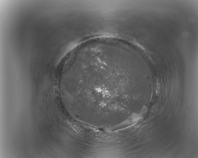 X0000058141255200510072022