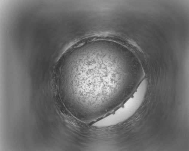 X0000058141256200510072022