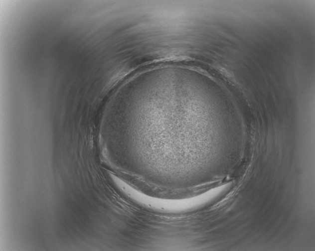 X0000058141257200510072022