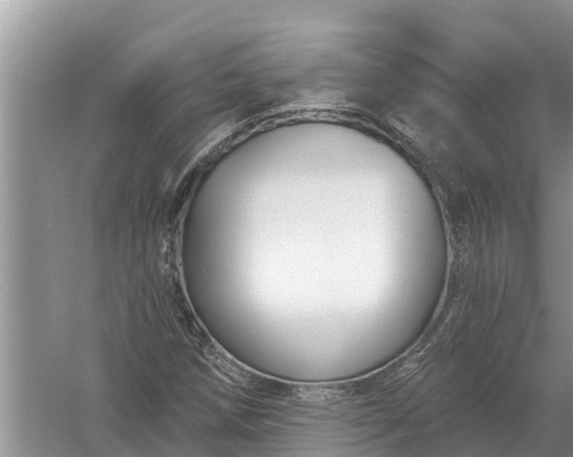 X0000058141258200510072022