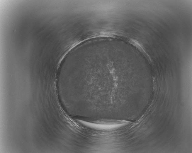 X0000058141260200510072022