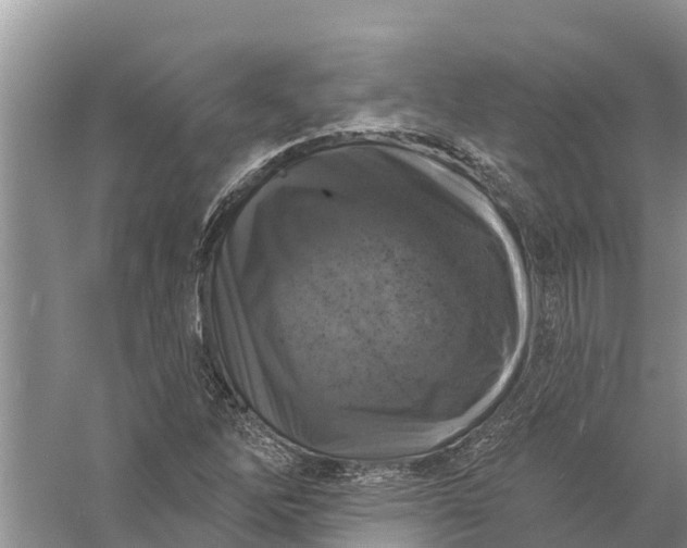 X0000058141262200510072022