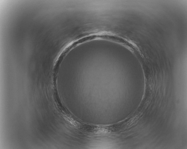 X0000058141263200510072022