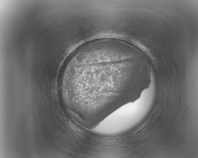 X0000058141264200510072022