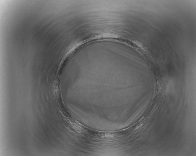 X0000058141266200510072022