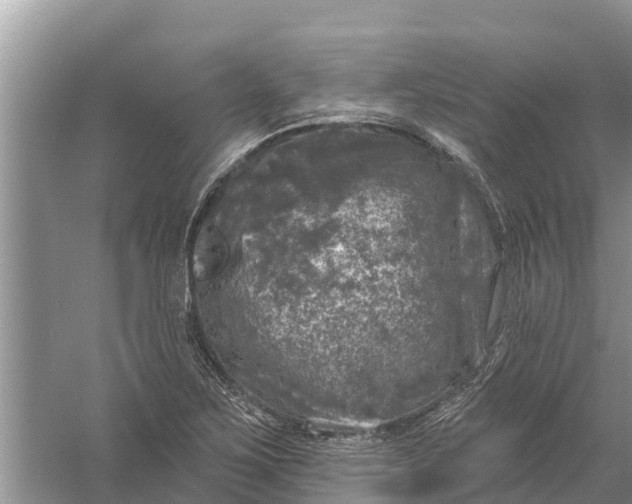 X0000058141267200510072022