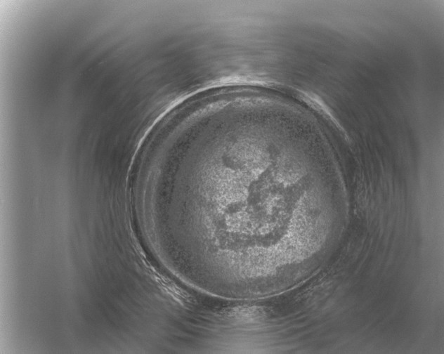 X0000058141268200510072022