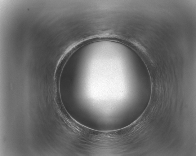 X0000058141270200510072022