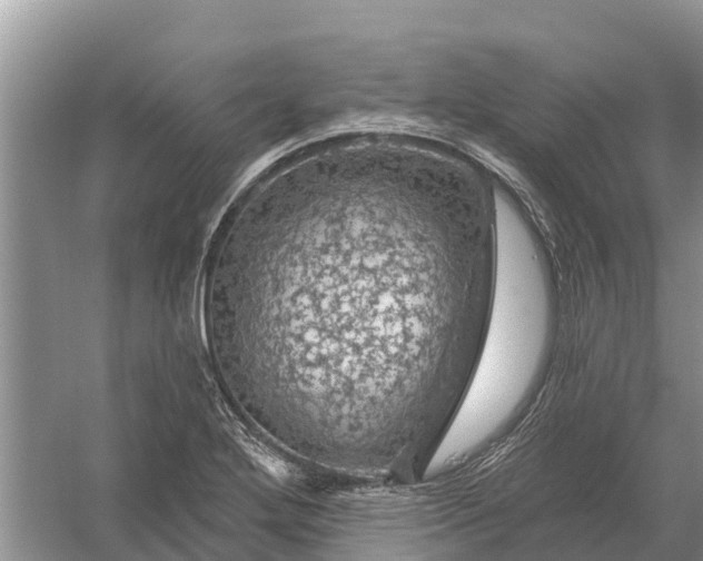 X0000058141272200510072022