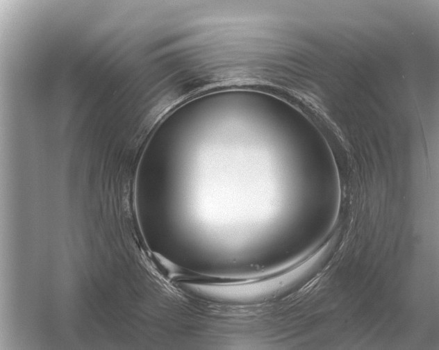 X0000058141273200510072022