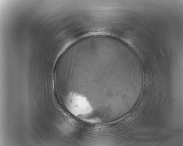 X0000058141274200510072022