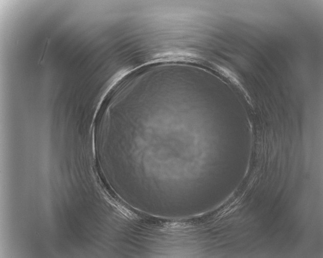 X0000058141275200510072022