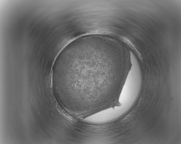 X0000058141276200510072022