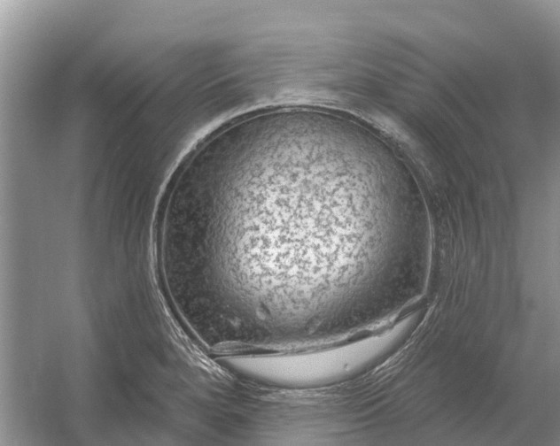 X0000058141280200510072022