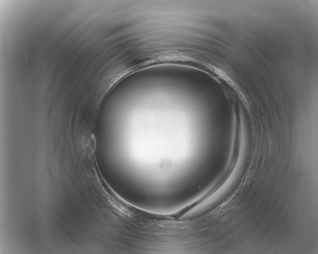 X0000058141281200510072022