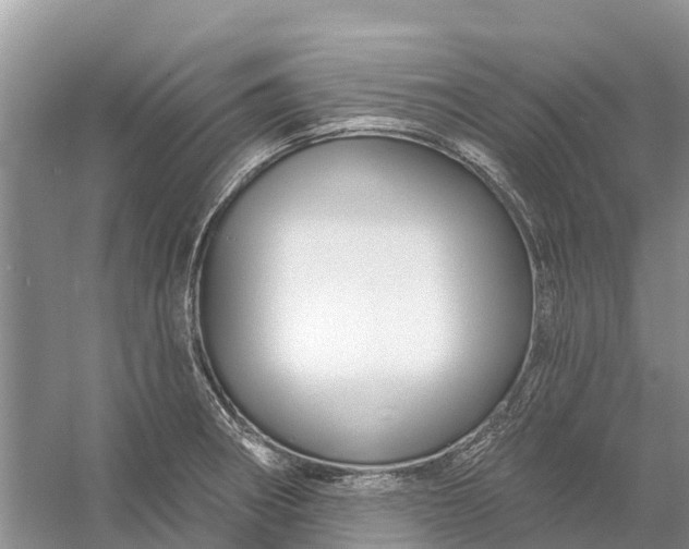 X0000058141282200510072022