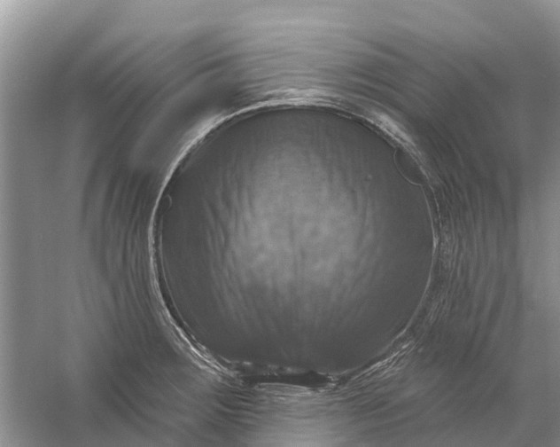 X0000058141283200510072022