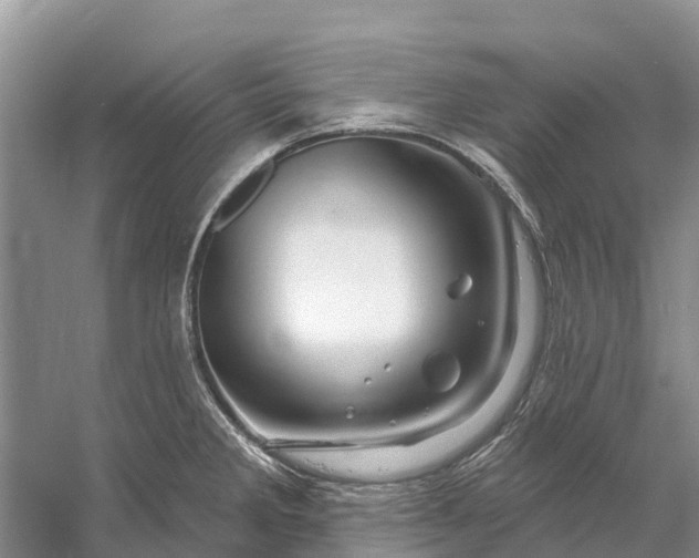 X0000058141285200510072022