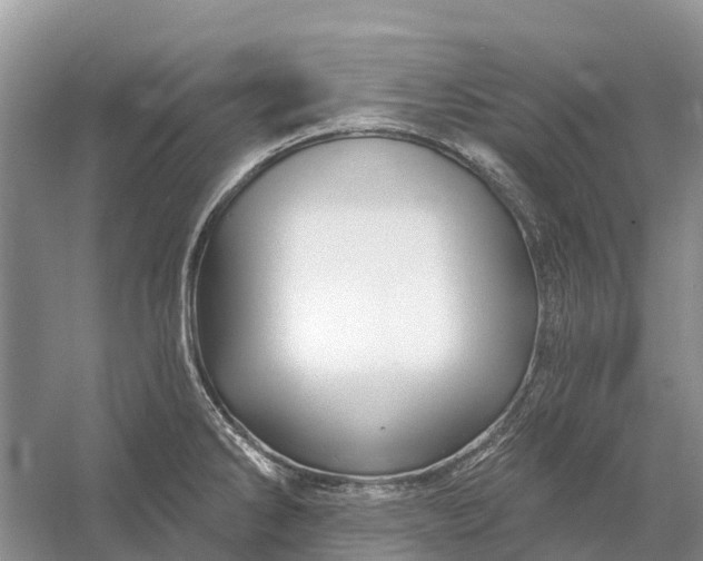 X0000058141286200510072022