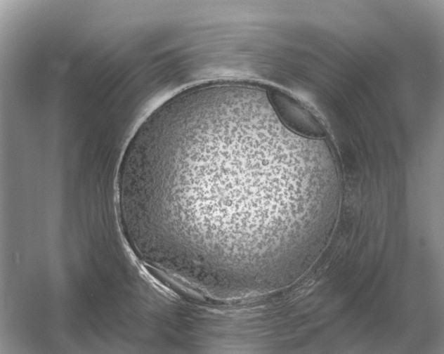 X0000058141287200510072022