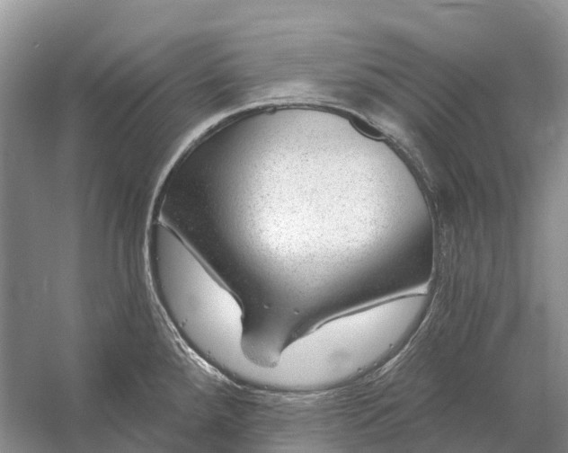 X0000058141288200510072022