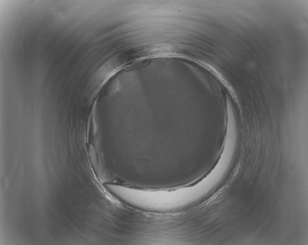 X0000058141289200510072022