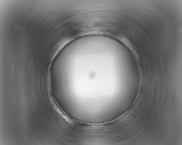 X0000058141290200510072021