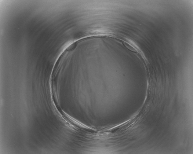 X0000058141291200510072021