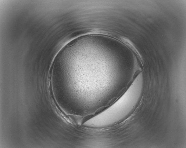 X0000058141292200510072021