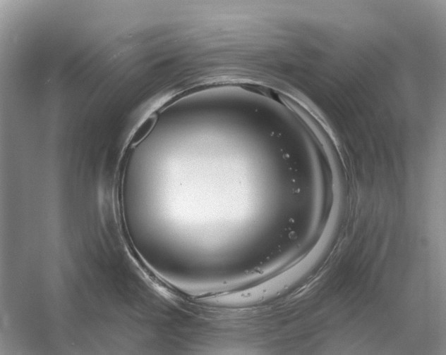 X0000058141293200510072021