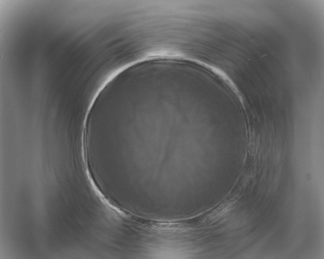 X0000058141295200510072021