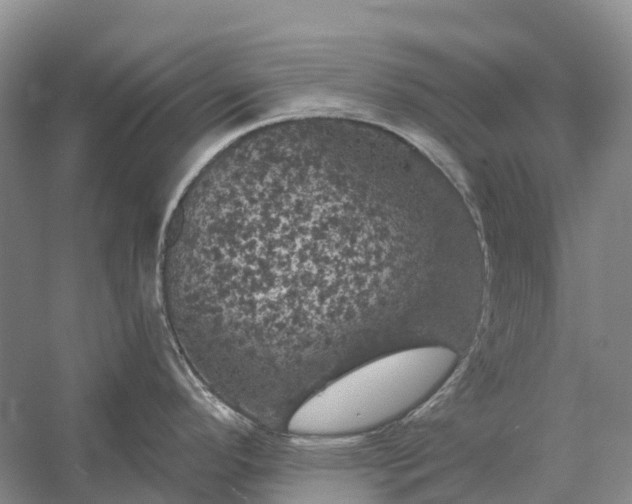 X0000058141296200510072021