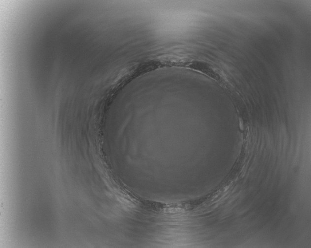 X0000058141297200510072021