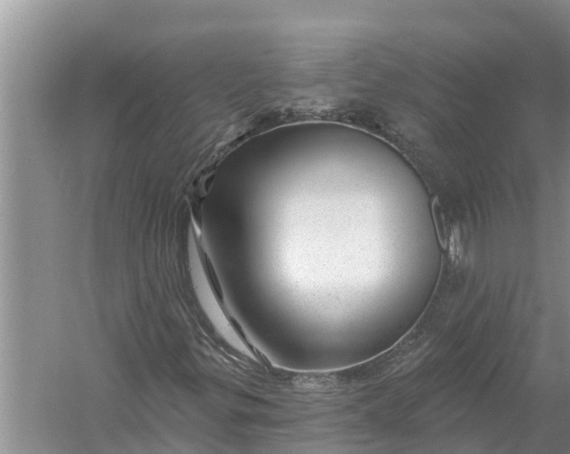 X0000058141299200510072021