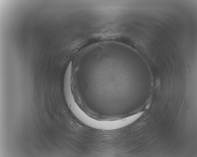 X0000058141300200510072021