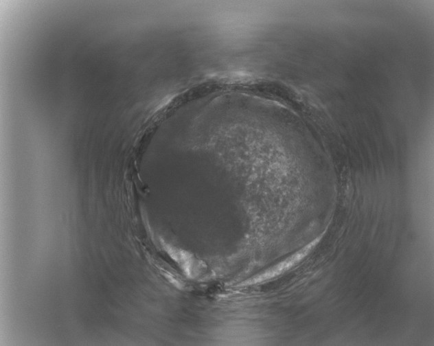 X0000058141301200510072021