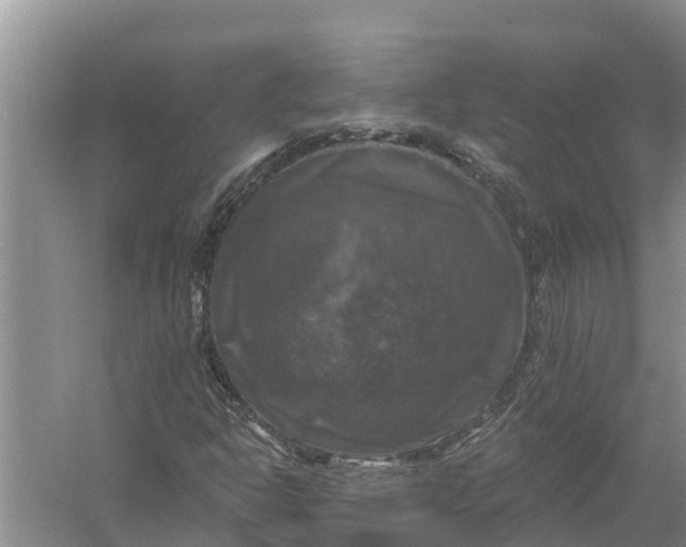 X0000058141302200510072021